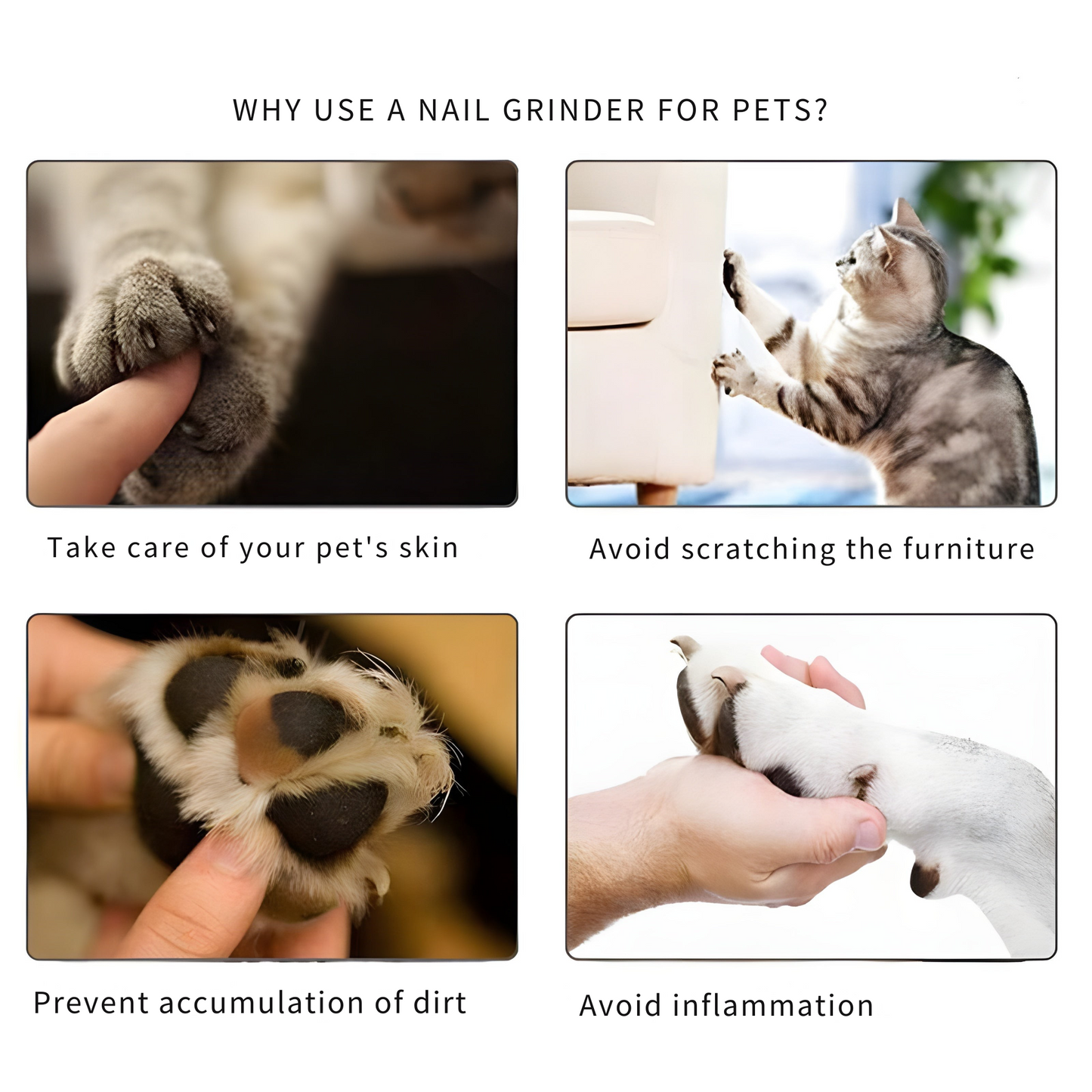 Lima de uñas sin estrés para su animal