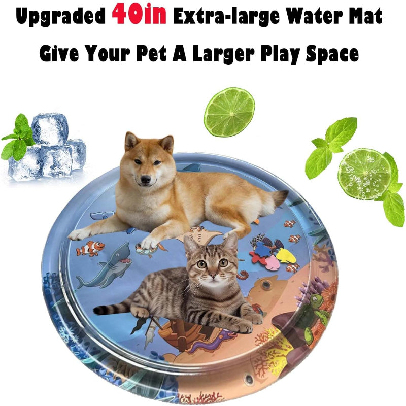 Divertissement garanti pour chat et chien