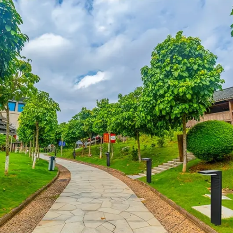 האירו את הגן שלכם ללא חשמל וללא מאמץ