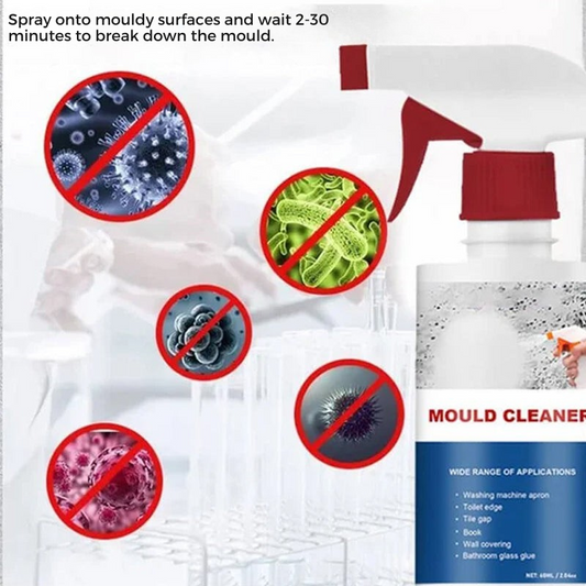 Anti-mold cleansing mousse for a healthy home 