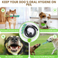 Juguete interactivo para perros: ¡diversión garantizada! 