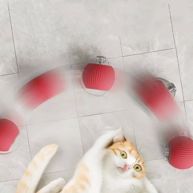 Hoppende leke for aktive og nysgjerrige katter 