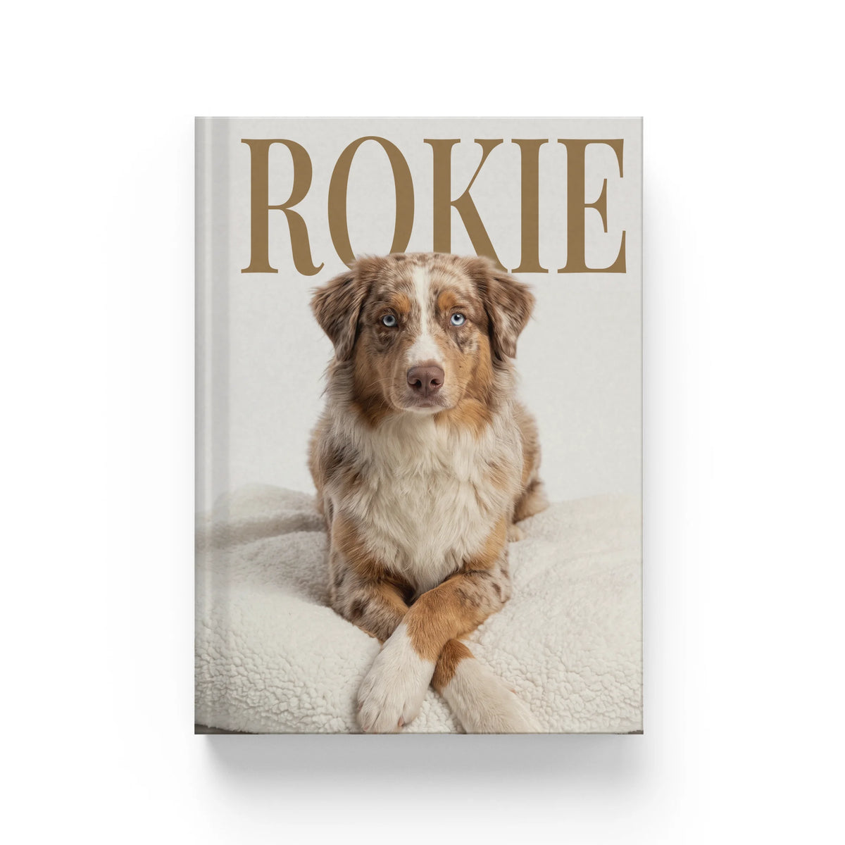 Album Photo de Voyage — photo 214